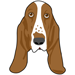 Basset Hound